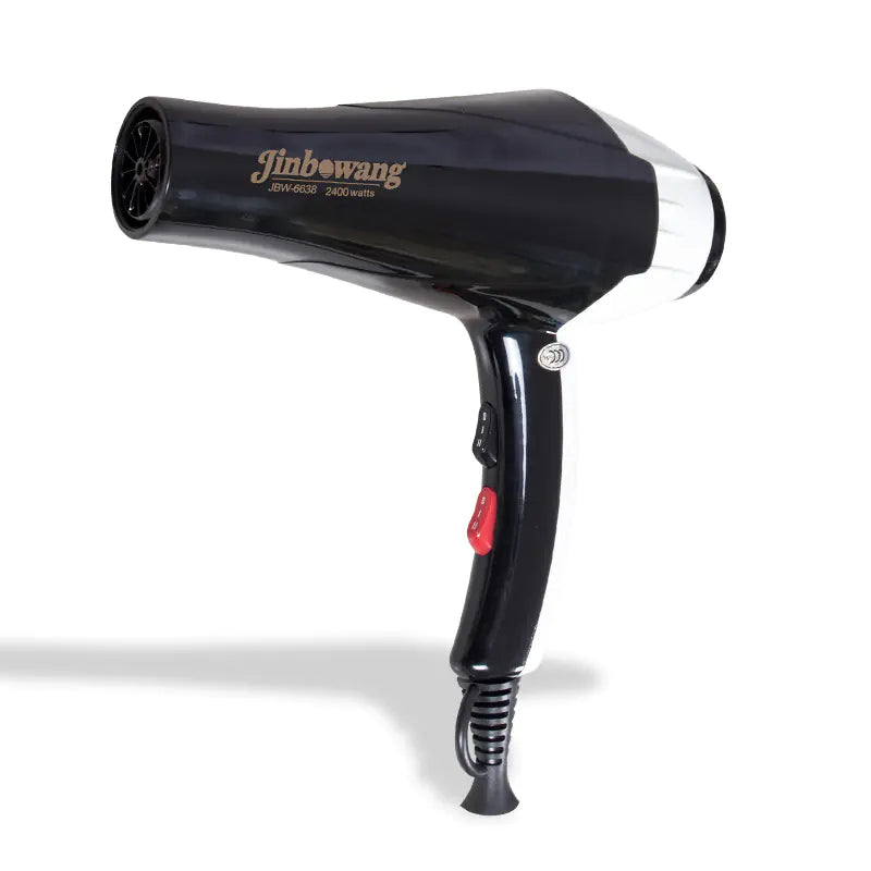 Powerful Quiet Blow Dryer with Blue Light Technology