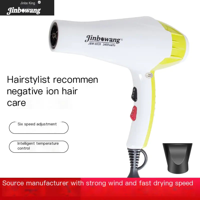 Powerful Quiet Blow Dryer with Blue Light Technology