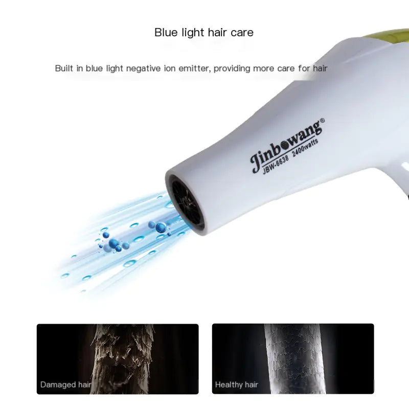 Powerful Quiet Blow Dryer with Blue Light Technology