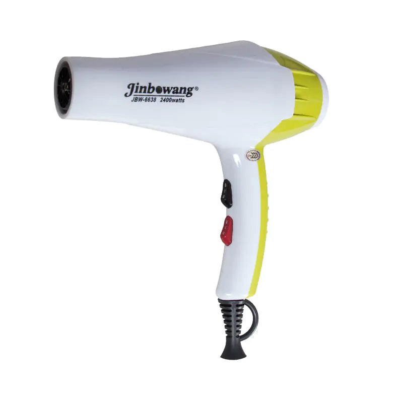 Powerful Quiet Blow Dryer with Blue Light Technology