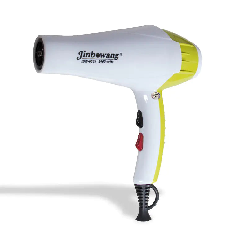 Powerful Quiet Blow Dryer with Blue Light Technology